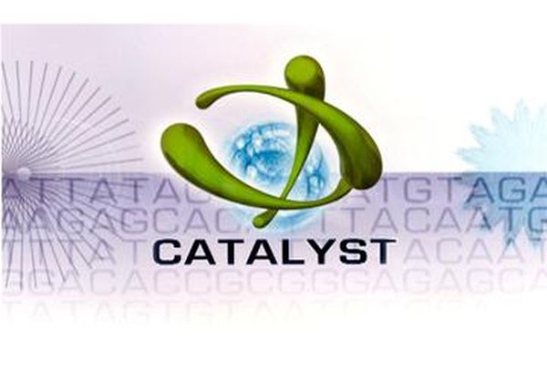 Catalyst