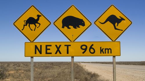 Driving in Australia 