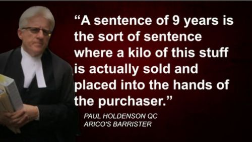 Mr Holdenson argued Mr Arico's sentence for drug trafficking was "manifestly excessive". (9NEWS)