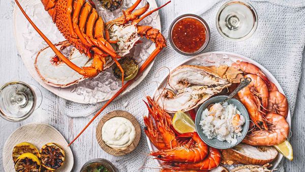 Lobsters are cheap for another Christmas season