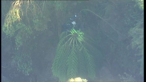 Despite being close to a suburban street the rescue is taking place in dense bushland.