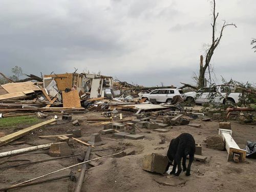 At least 30 dead after tornadoes hit America's southern states