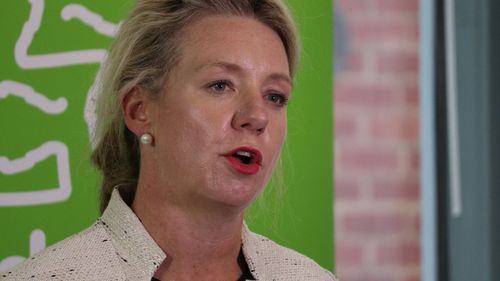 Senator Bridget McKenzie. (AAP)