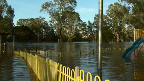 The Murray River is expected to peak later this week. (9NEWS)