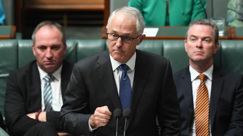 Malcolm Turnbull slammed Pauline Hanson after she called for a ban on Muslims. (AAP)