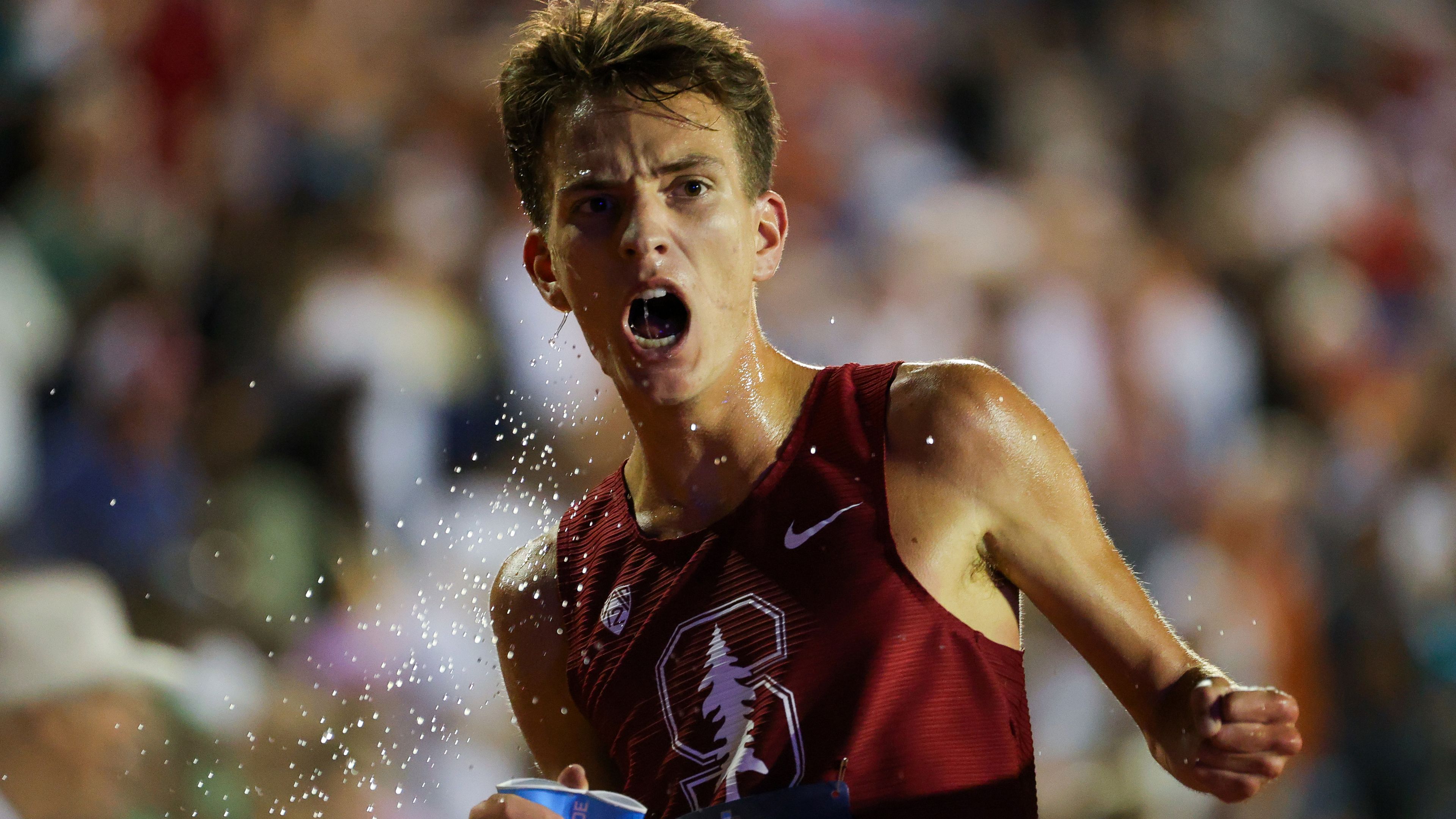 'Couldn't ask for more': Aussie Stanford student Ky Robinson creates history with blistering 10,000-metre run