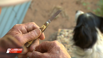 Aussie bushman's shock over fine for carrying pocket knife