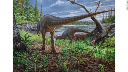 New species of turkey-sized dinosaur discovered in Victoria