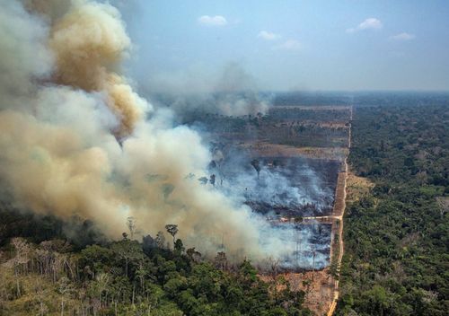 Smoke rises from the fire at the Amazon forest in Novo Progresso in the state of Para, Brazil.