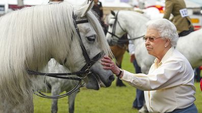 Her Majesty with her horse 'Balmoral Erica' after it came second at the Royal Windsor Horse Show at Home Park on May 17, 2014.