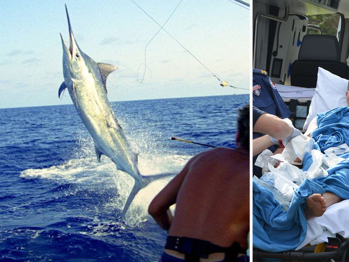 Australia, GBR, Black Marlin jumps off boat stern, man in fighting