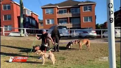 Sydney park-goers warn against crossing angry dog trainer