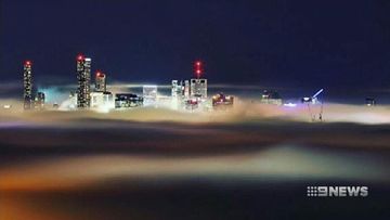 Unprecedented fog in Brisbane forces planes to be grounded
