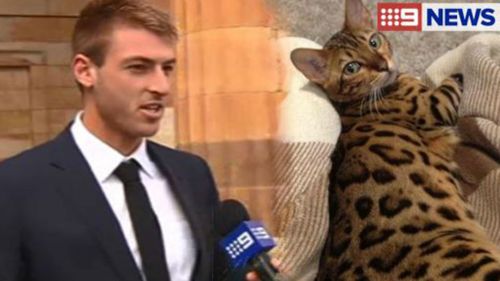 AFL player blames excess speed on cat vomiting in car's back seat