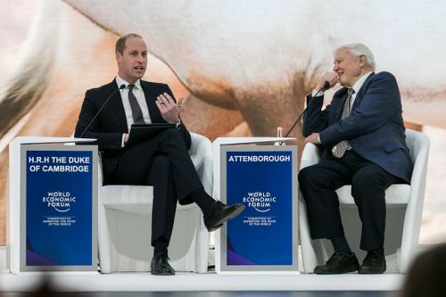 Sir David Attenborough has warned humanity needs a global plan to ensure the future world is one with access to clean and water, unlimited energy and sustainable fish stocks.