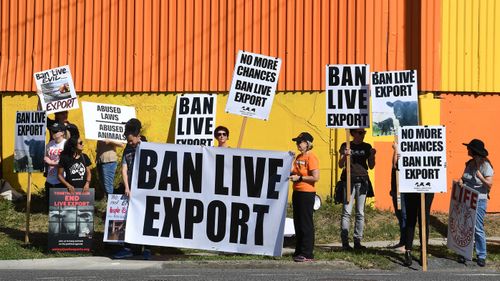 Live animal export protestors are seen near a shipping dock in Brisbane. (AAP)