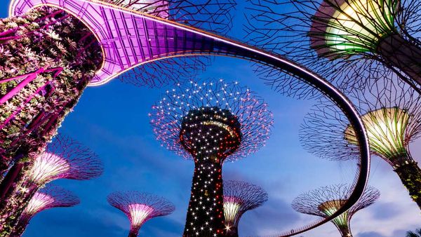 Singapore supertree at night