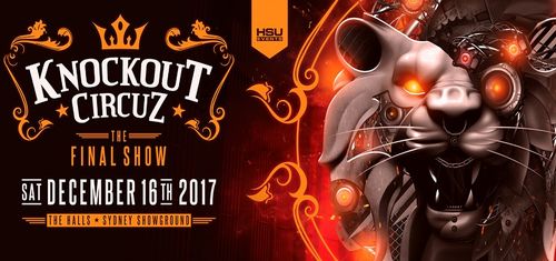 A teenager has died after falling over at Knockout Circuz music festival. (9NEWS)