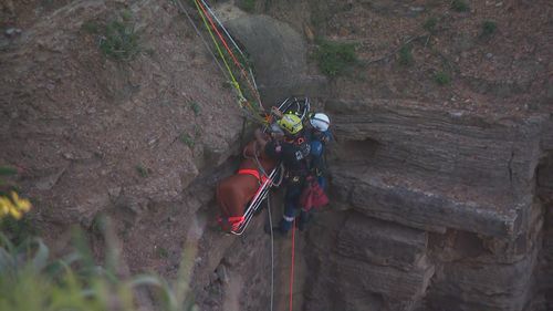 Rescue from the Warriewood blowhole
