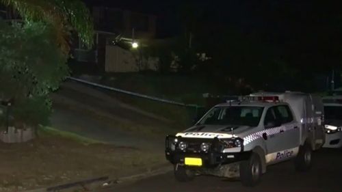 Police were called to the Green Valley home about 3.15am. (9NEWS)