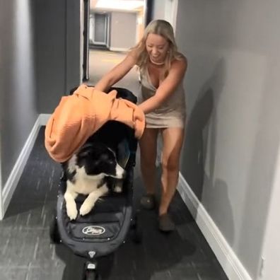 TikToker sneaks her dog into a no pets holiday stay