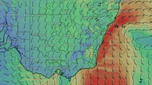 The forecast graph illustrates the powerful gusts set to impact the coast from tomorrow. (Weatherzone)