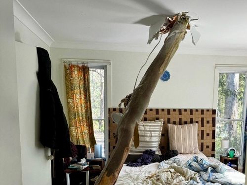 A house was damaged by a falling tree in Lake Conjola near Ulladulla on the NSW south coast.