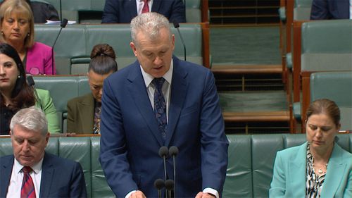 Employment Minister Tony Burke speaks on family and domestic violence leave legislation.