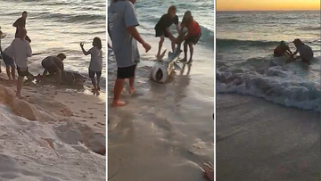 A fisherman has snagged the catch of a lifetime as beachgoers watched on.