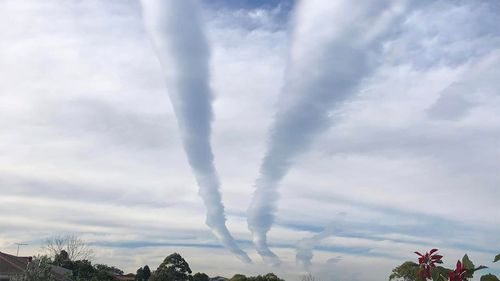 A long and rolling line of cloud was spotted by Sydney residents from Blacktown to Parramatta﻿ and covered the entire city by mid-afternoon.