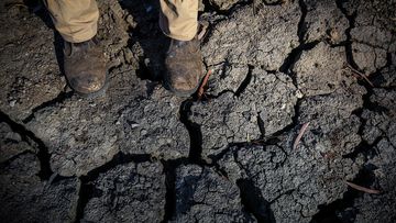 A cracked riverbed during drought in NSW.