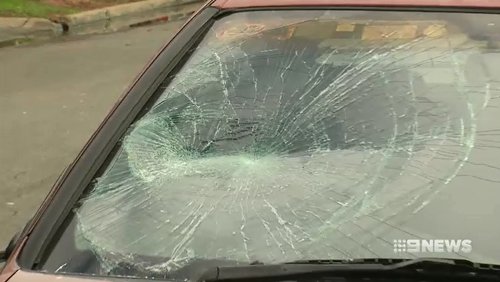 Witnesses say more than a dozen cars were smashed by the man who allegedly went on a rampage for over an hour.