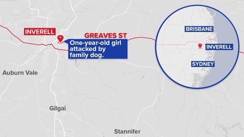 Inverell is located near the Queensland border. (9NEWS)