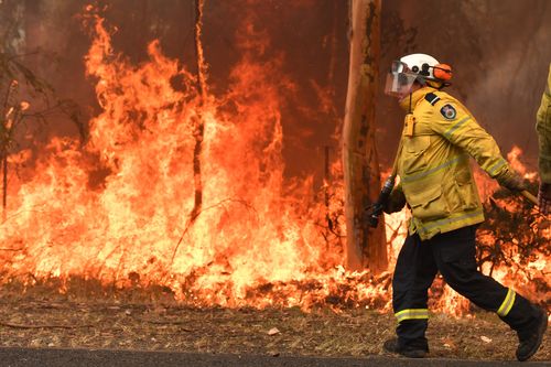 Rural Fire Service (RFS) firefighters are seen by containment lines at the Three Mile Fire in the suburb of Kulnura on December 10, 2019 on the Central Coast, Australia.  (Photo by Sam Mooy/Getty Images)