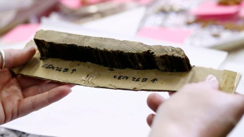 A portion of a pine casket from one of the graves unearthed. By studying the tree rings in the wood, researchers can determine an approximate date when the casket was made and put into use. (AP)