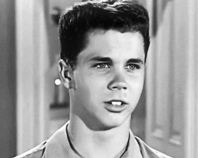Tony Dow stars in Leave It to Beaver.