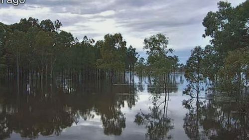 Unrelenting rainfall in parts of the state saw paddocks sodden and left roads under water due to a tropical low.﻿