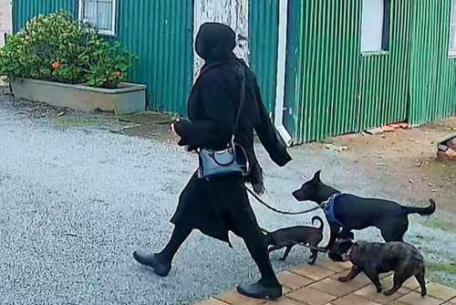 Major Crime detectives have released images of the clothing Tamika Chesser was wearing during this time in the hope that it will jog people's memories
