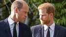 FILE - Britain's Prince William and Britain's Prince Harry walk beside each other after viewing the floral tributes for the late Queen Elizabeth II outside Windsor Castle, in Windsor, England, Saturday, Sept. 10, 2022. Prince Harry and his wife, Meghan, are expected to vent their grievances against the monarchy when Netflix releases the final episodes of a series about the couples decision to step away from royal duties and make a new start in America. (AP Photo/Martin Meissner, File)