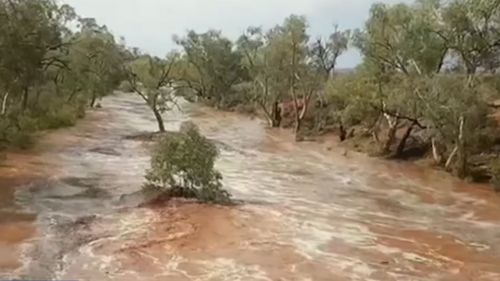 Rain has fallen in Bilpin just weeks are bushfires tore through the area.