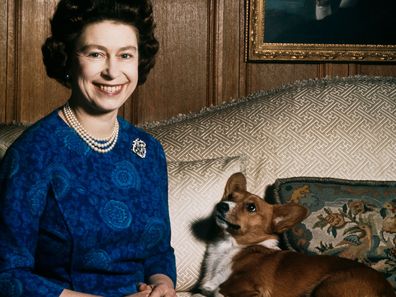 The Queen's last corgi has died