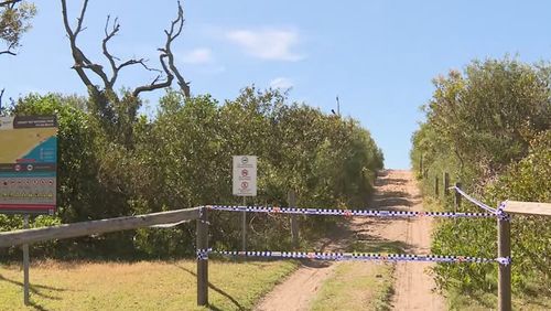 The pair were trying to film a pod of dolphins before the shark attacked. 
