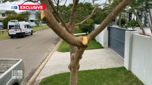 A Gold Coast man is challenging his local council over a fine issued for cutting back trees on a nature strip.