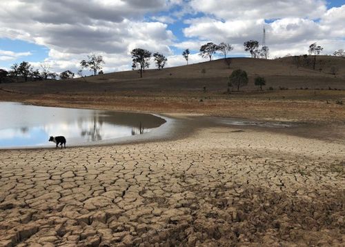 Farmers can't believe how quickly the drought struck NSW- and despite a spell of recent rain, a lot more is needed.