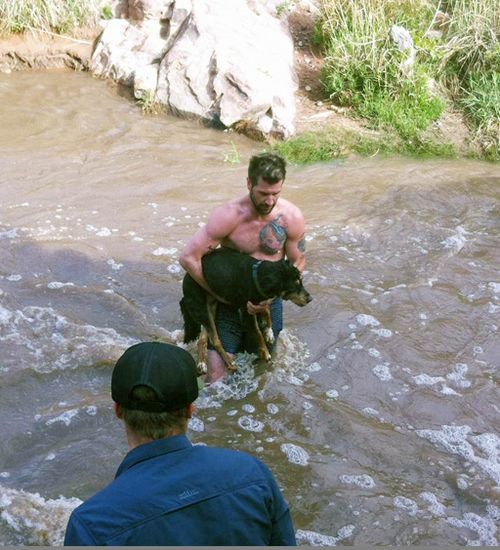 Stranger strips and jumps into rapids to rescue US woman's stranded dog