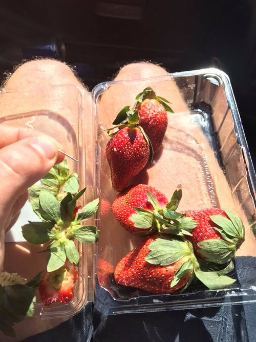 The incident occurred on Sunday after a punnet of strawberries was purchased from a Brisbane supermarket.