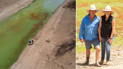 Bill and Chrissy Ashby pictured by the algae-ridden Darling River on their property Trevallyn.