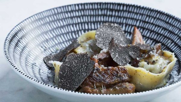 Gazebo's mushroom tortellini with pine mushroom ragout, truffle pec, fresh shaved truffles, courtesy of chef Sam Bull