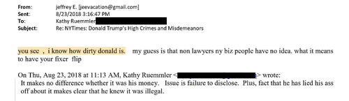 E-MAIL EPSTEIN TRUMP 4