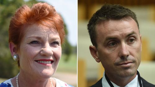 Dumped candidate says Pauline Hanson is James Ashby's 'puppet'